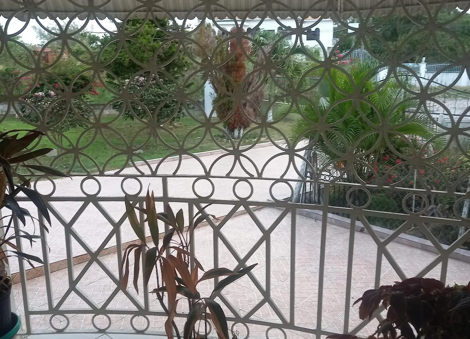 Feriehus Culture Inn Montego Bay Jamaica