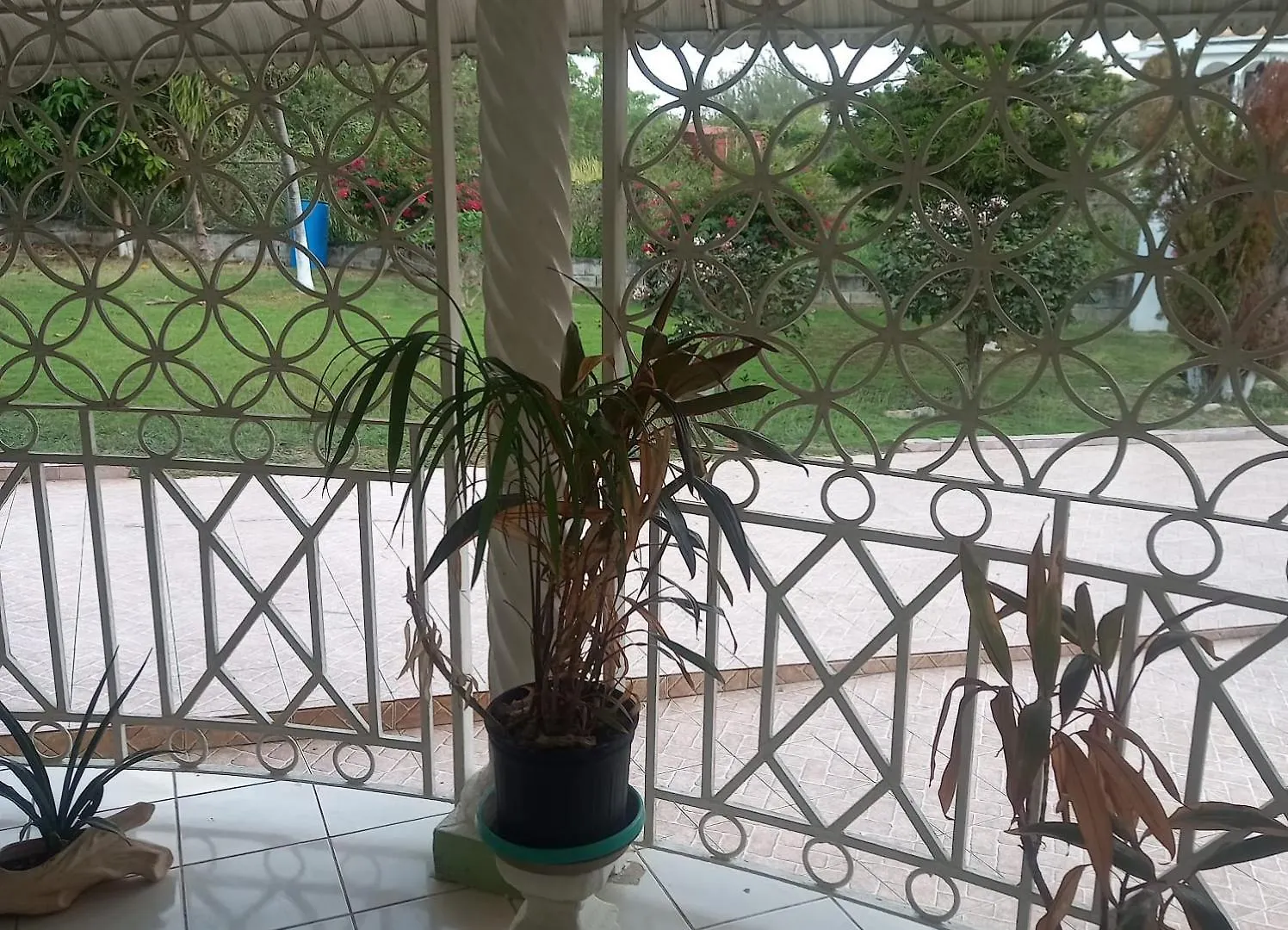 Feriehus Culture Inn Montego Bay