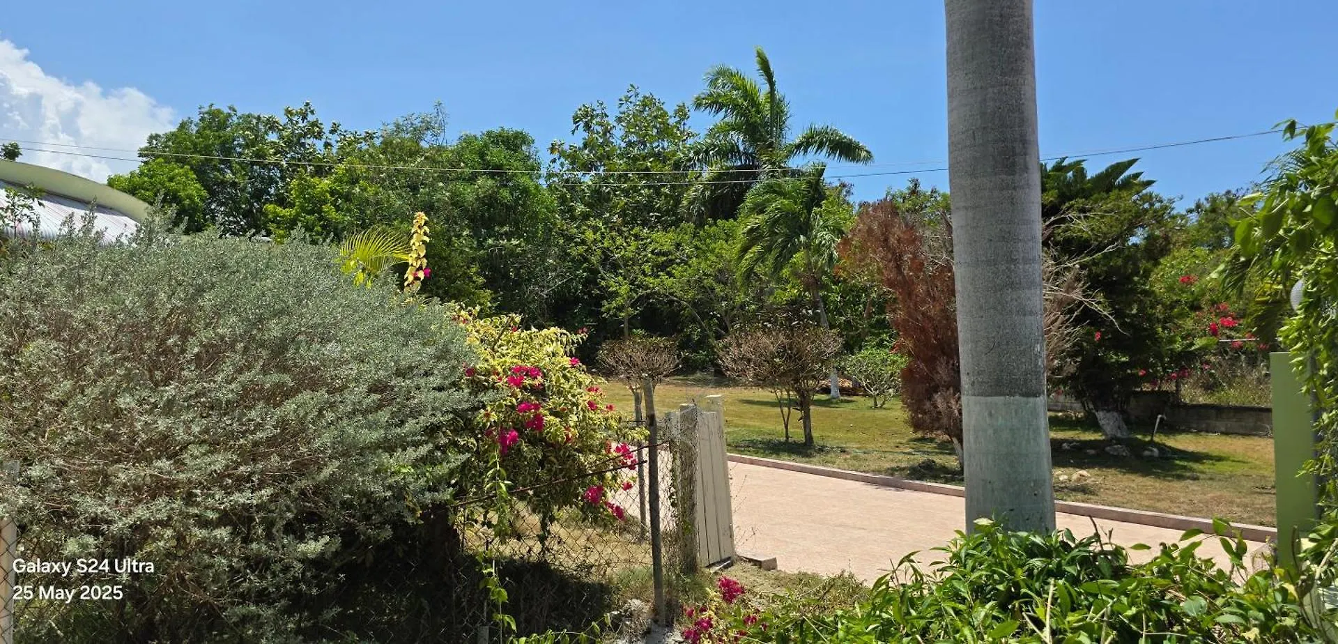 Feriehus Culture Inn Montego Bay